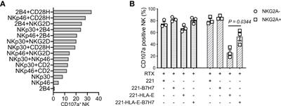 NK Cells Equipped With a Chimeric Antigen Receptor That Overcomes Inhibition by HLA Class I for Adoptive Transfer of CAR-NK Cells